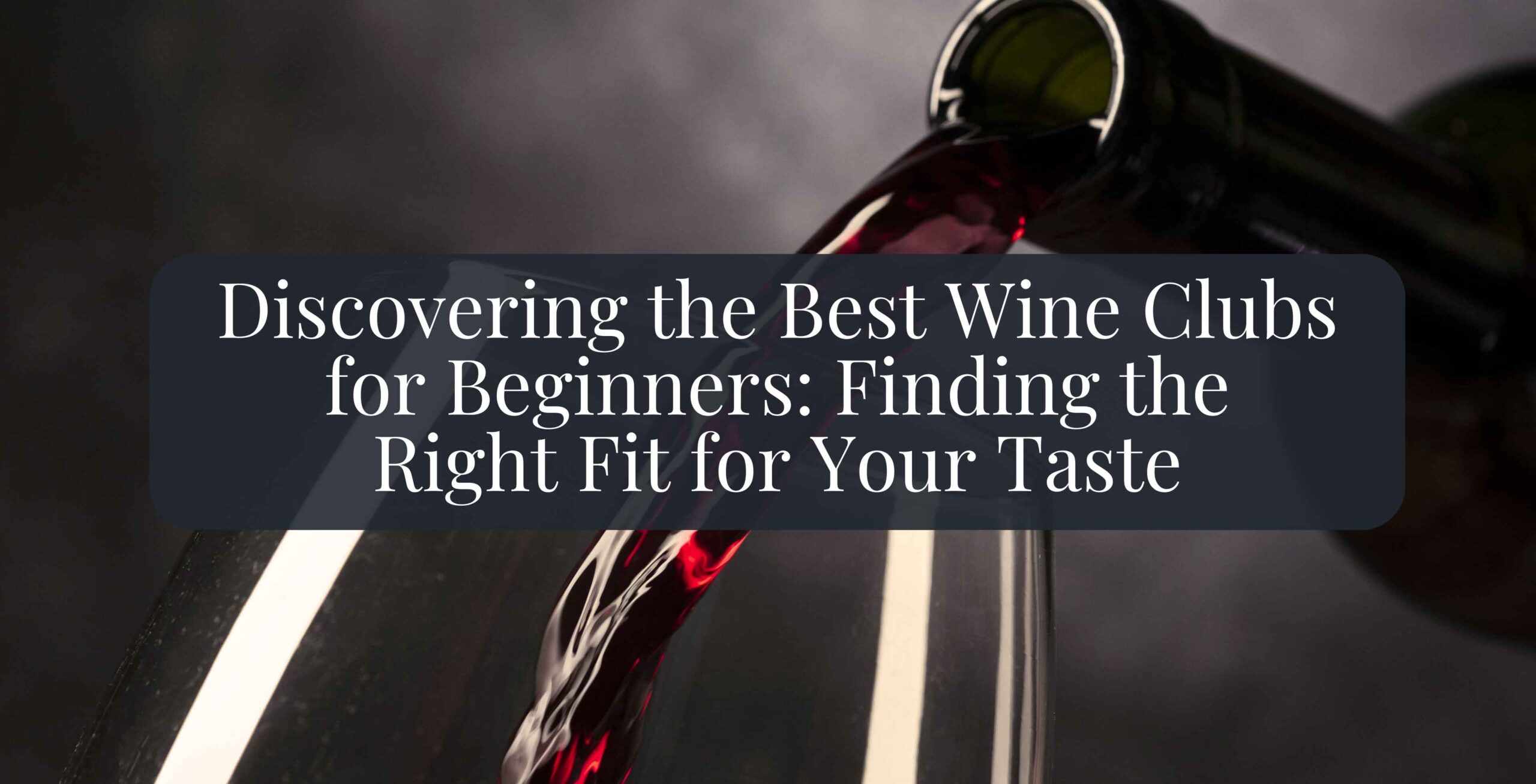 Discovering the best wine clubs for beginners